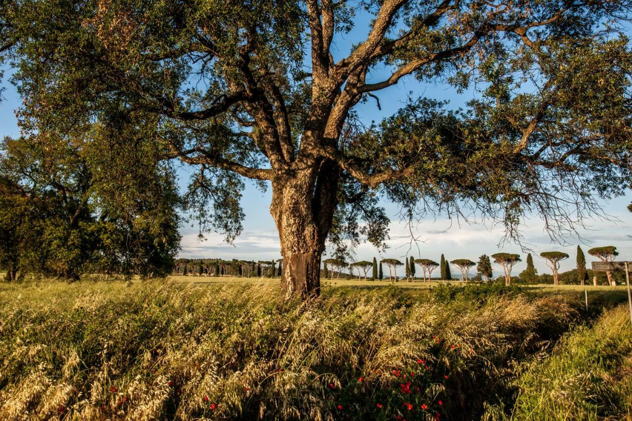 Refugium Countryhouse Podere Cernaia Buitenkant foto