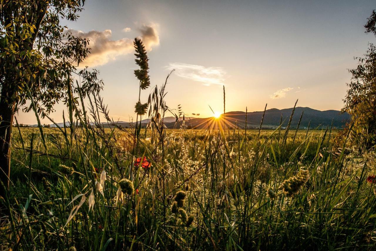 Refugium Countryhouse Podere Cernaia Buitenkant foto